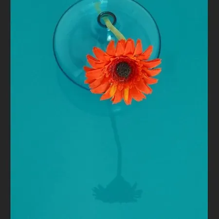 Mar Vista Apartment *